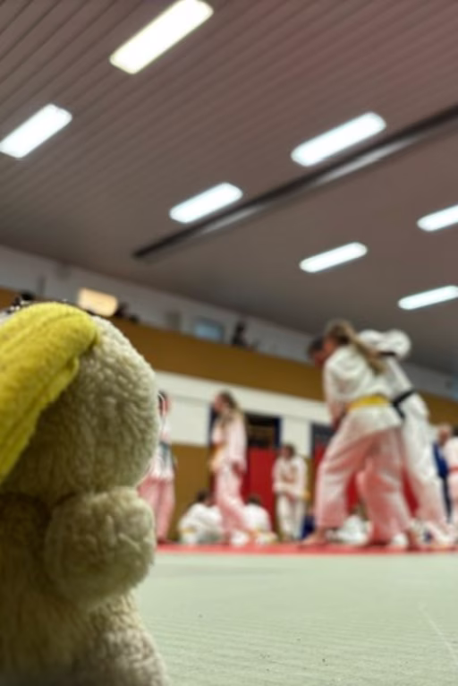 Promo Image Training in Rochlitz